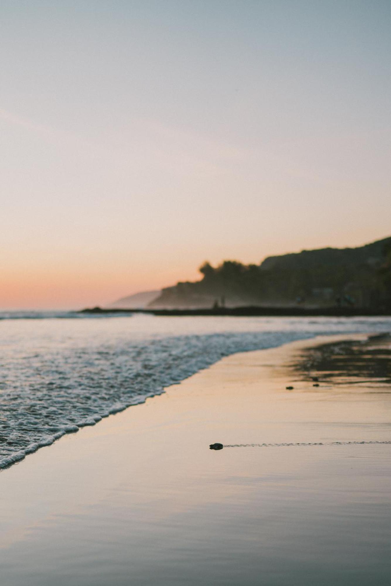 Almare Zonte - Beachfront Glamping Hotel El Zonte Eksteriør billede